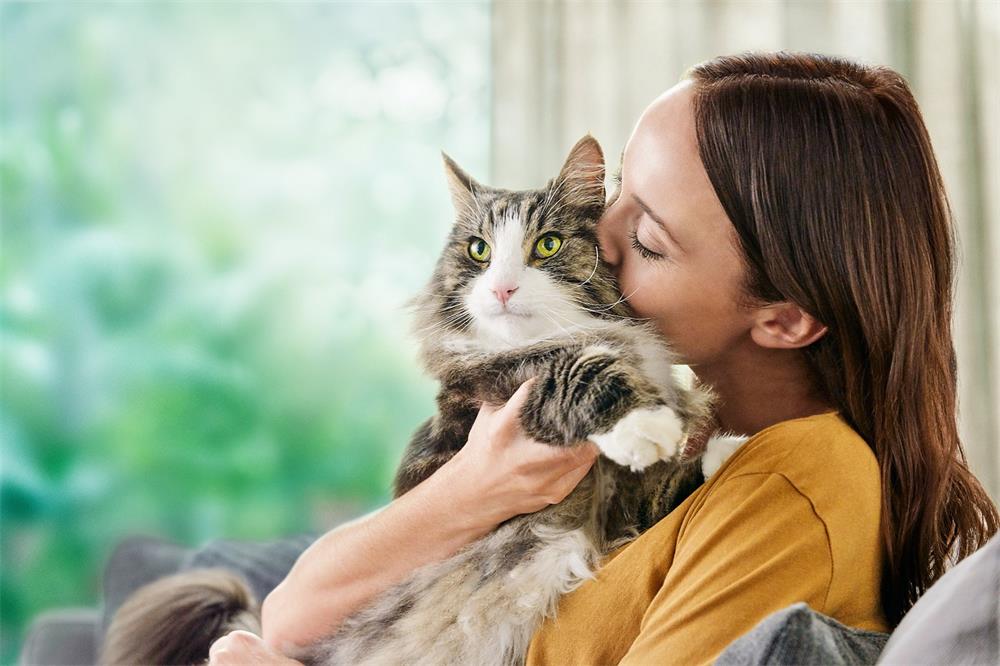 How to Deal with Cat Allergies